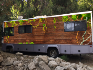 RV (recreational vehicle) Forest trees or Jungle vine wrap  | Car Wrap Design by FutureDesigne