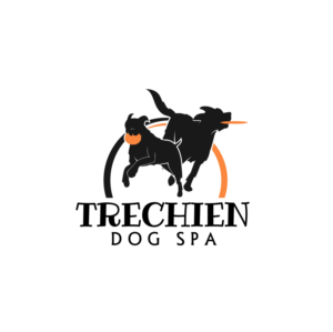 Logo Design by Cresign