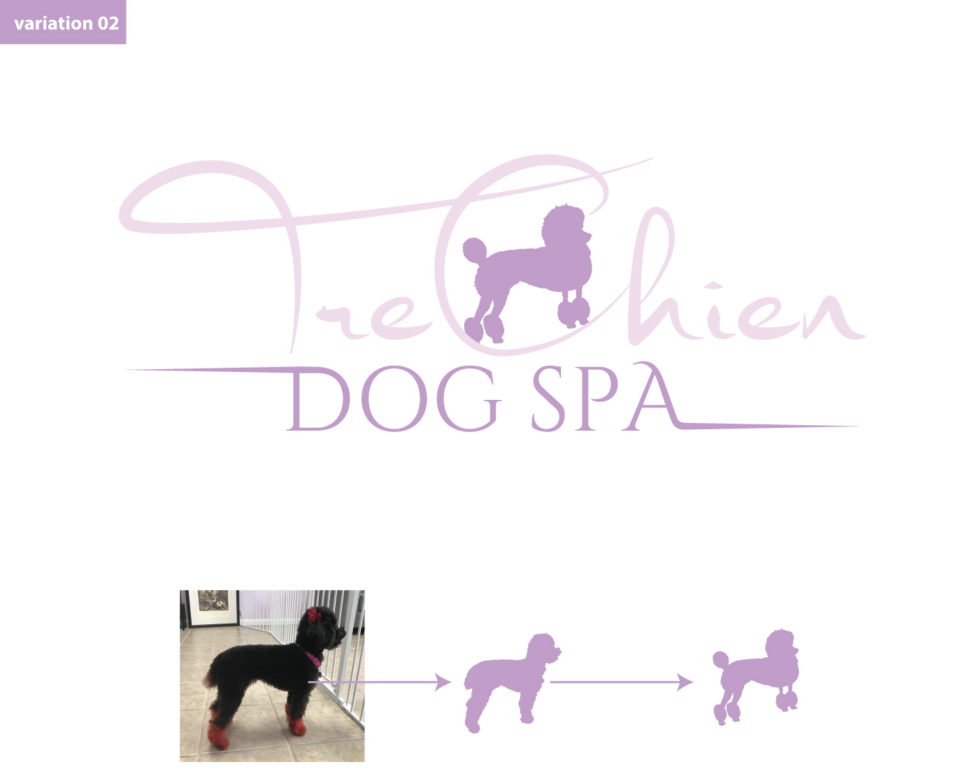 Logo Design by Rubia@ for this project | Design: #25488456