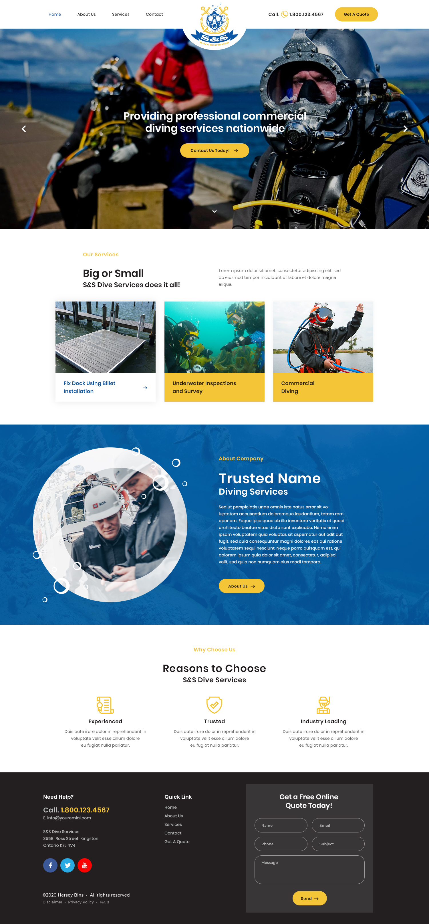 Web Design by Dolph!n for this project | Design #25496292