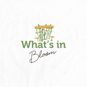 Design de Logo par mrs.mary pour ce projet | Design #25499707