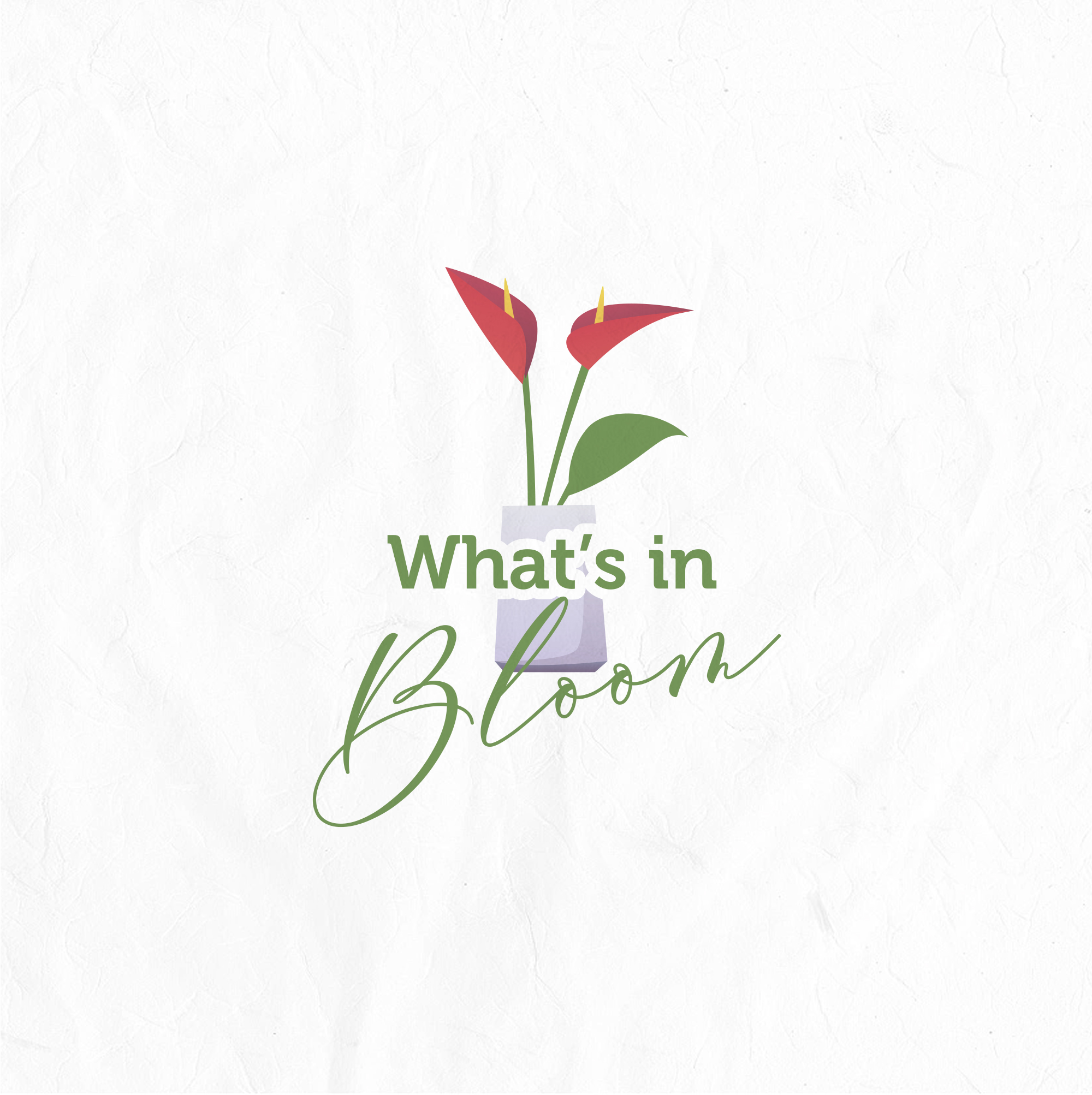 Logo Design by mrs.mary for this project | Design #25499708