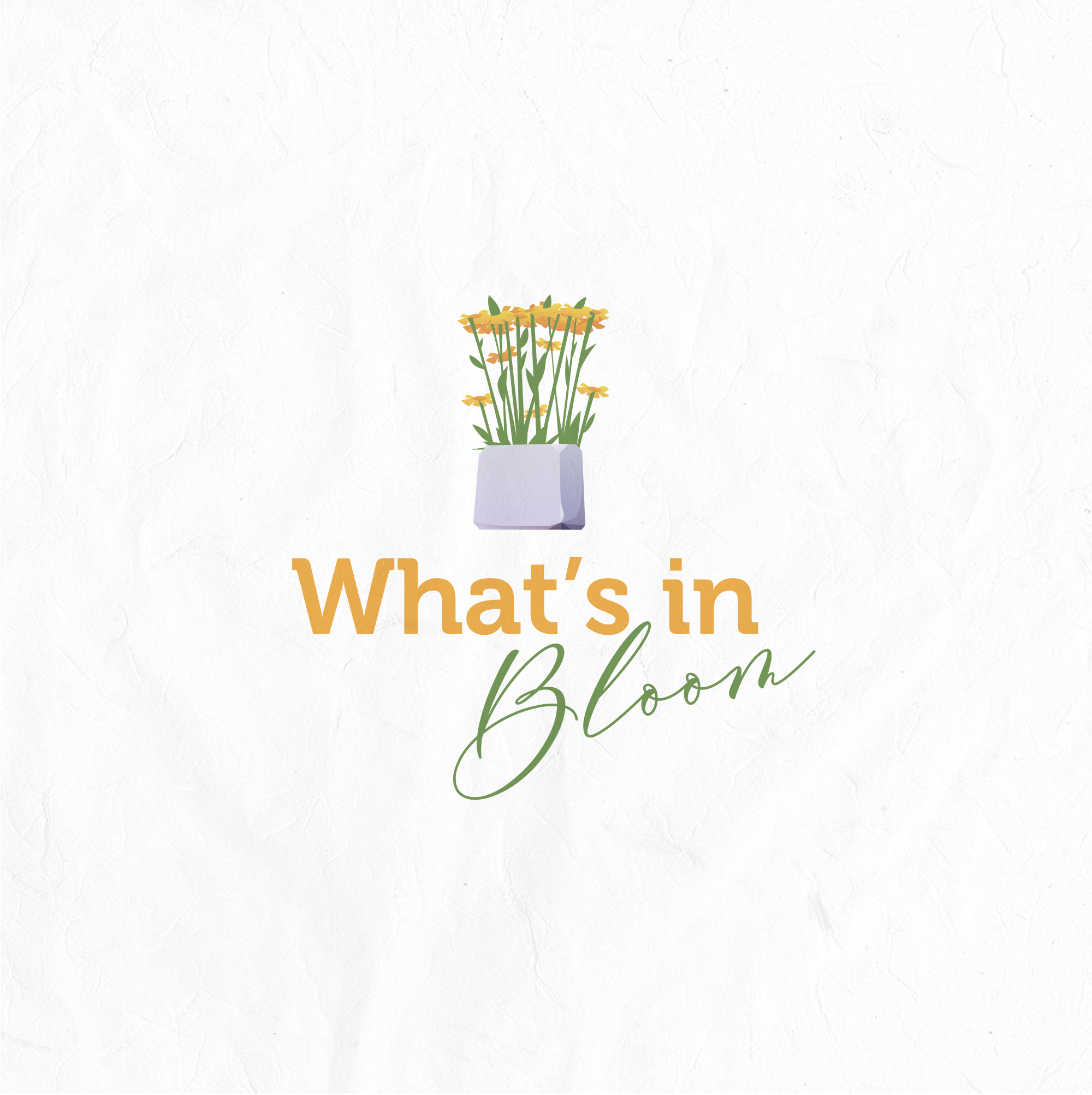 Logo Design by mrs.mary for this project | Design #25499717