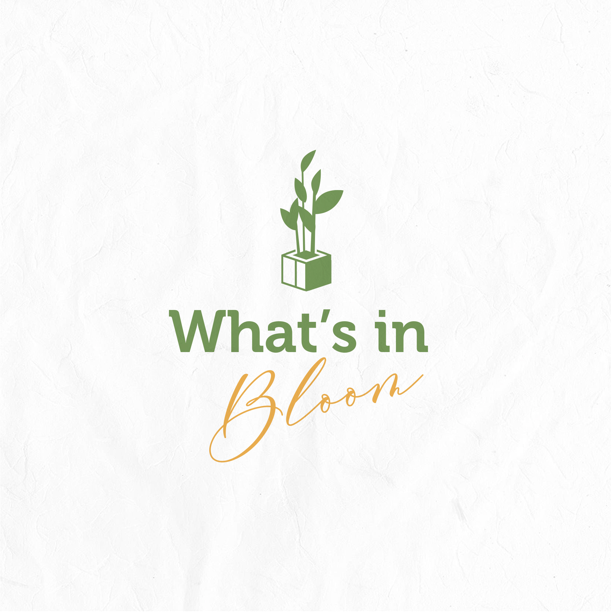 Logo Design by mrs.mary for this project | Design #25499721