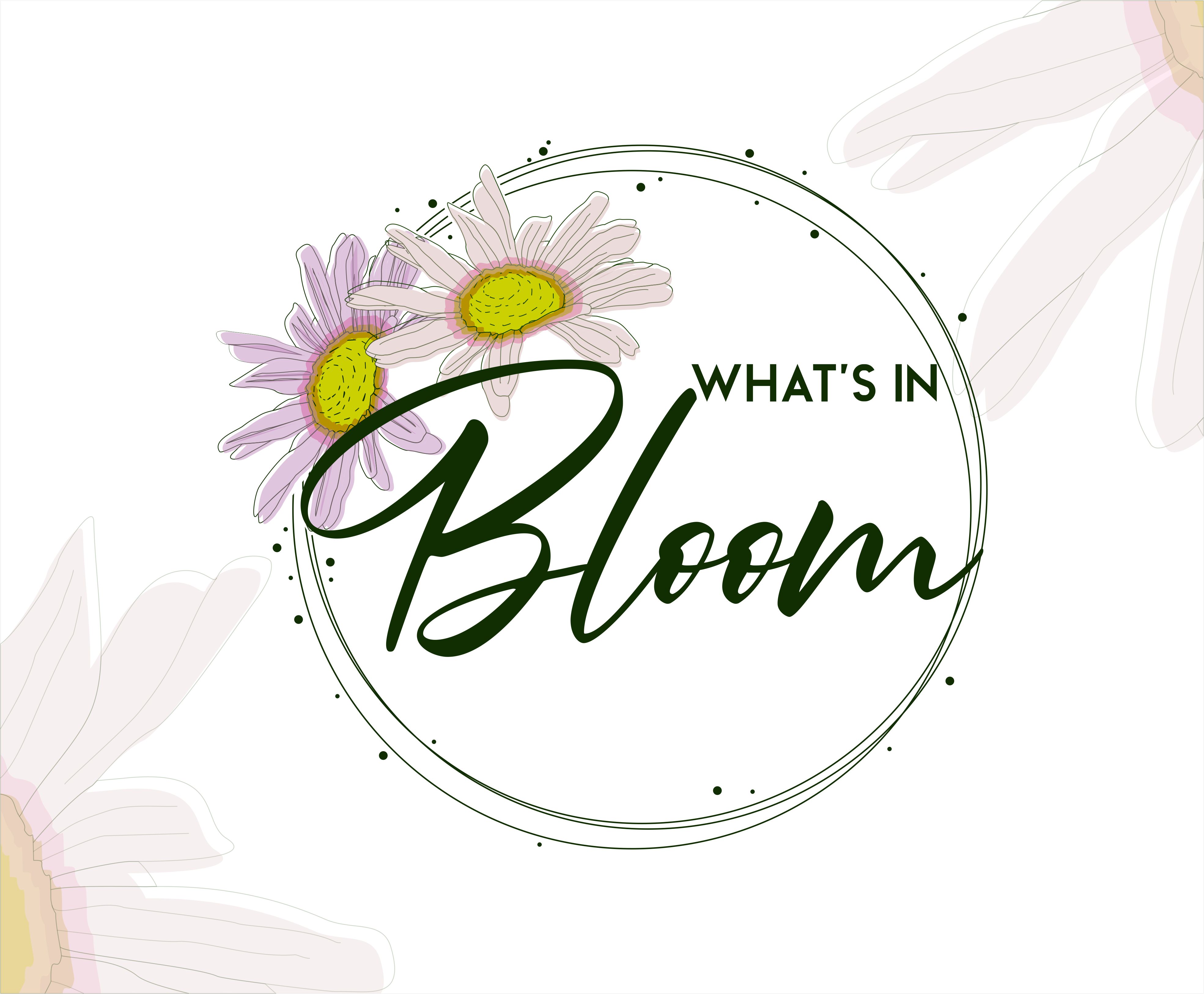 Logo Design by vta for this project | Design #25469017