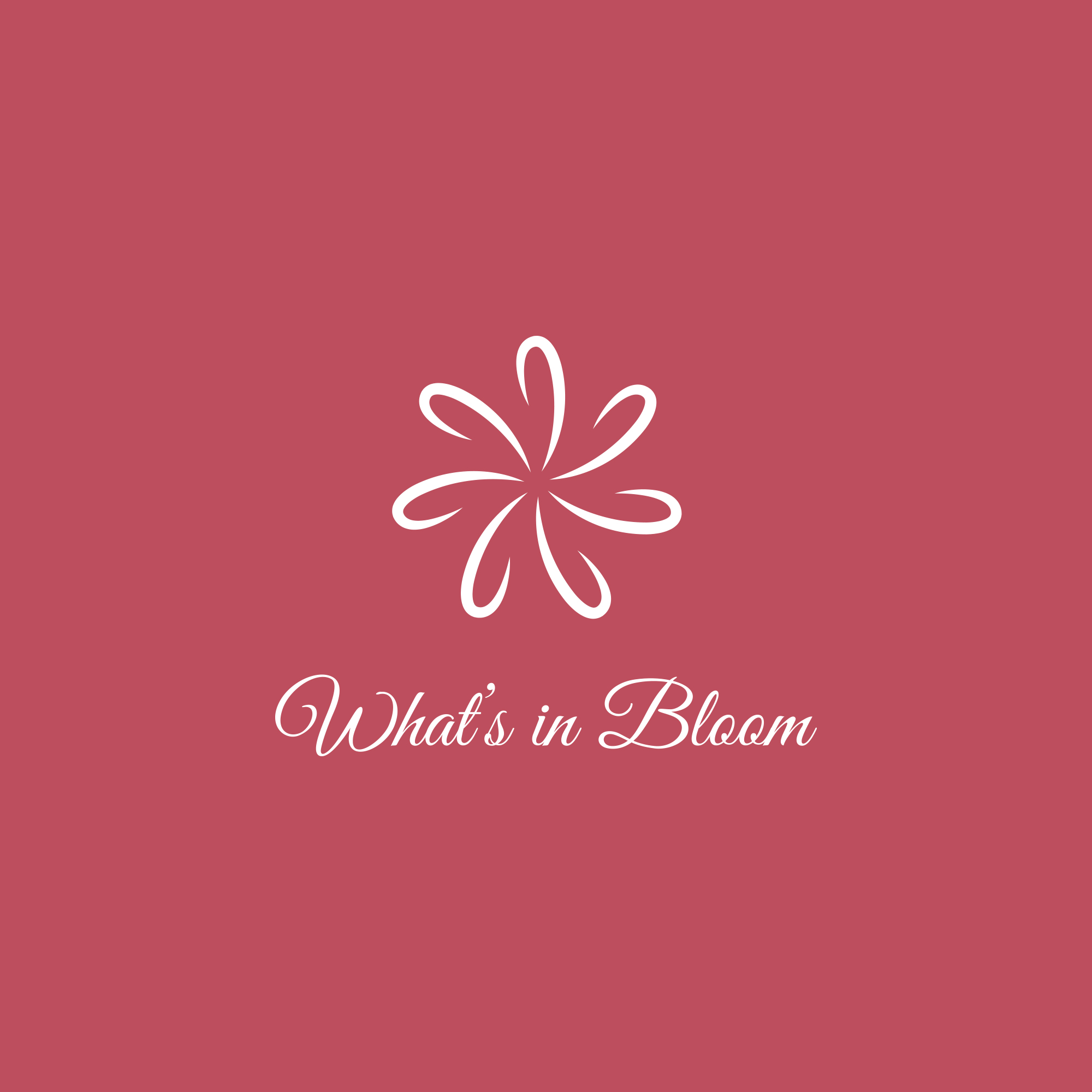Logo Design by griphingraphics for this project | Design #25489546
