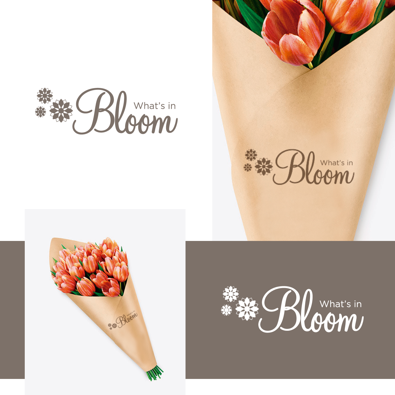 Diseño de Logo por Marianna K. para este proyecto | Diseño #25468871