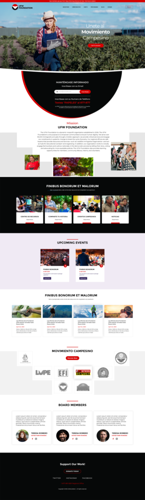 Web Design by lemosys infotech