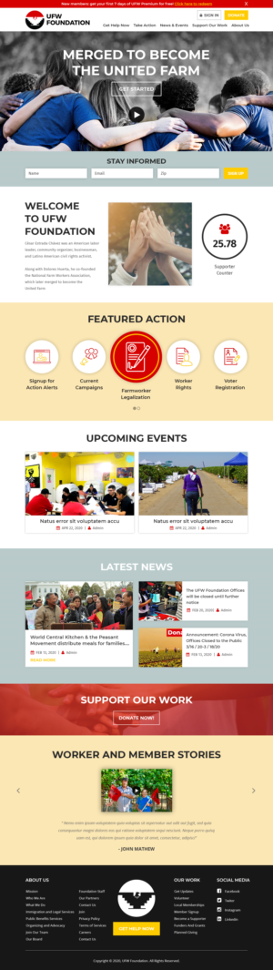 Modern Web Design for Nonprofit Organization | Web Design by Starlyn DS
