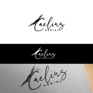Logo Design by CreativeFlows 2