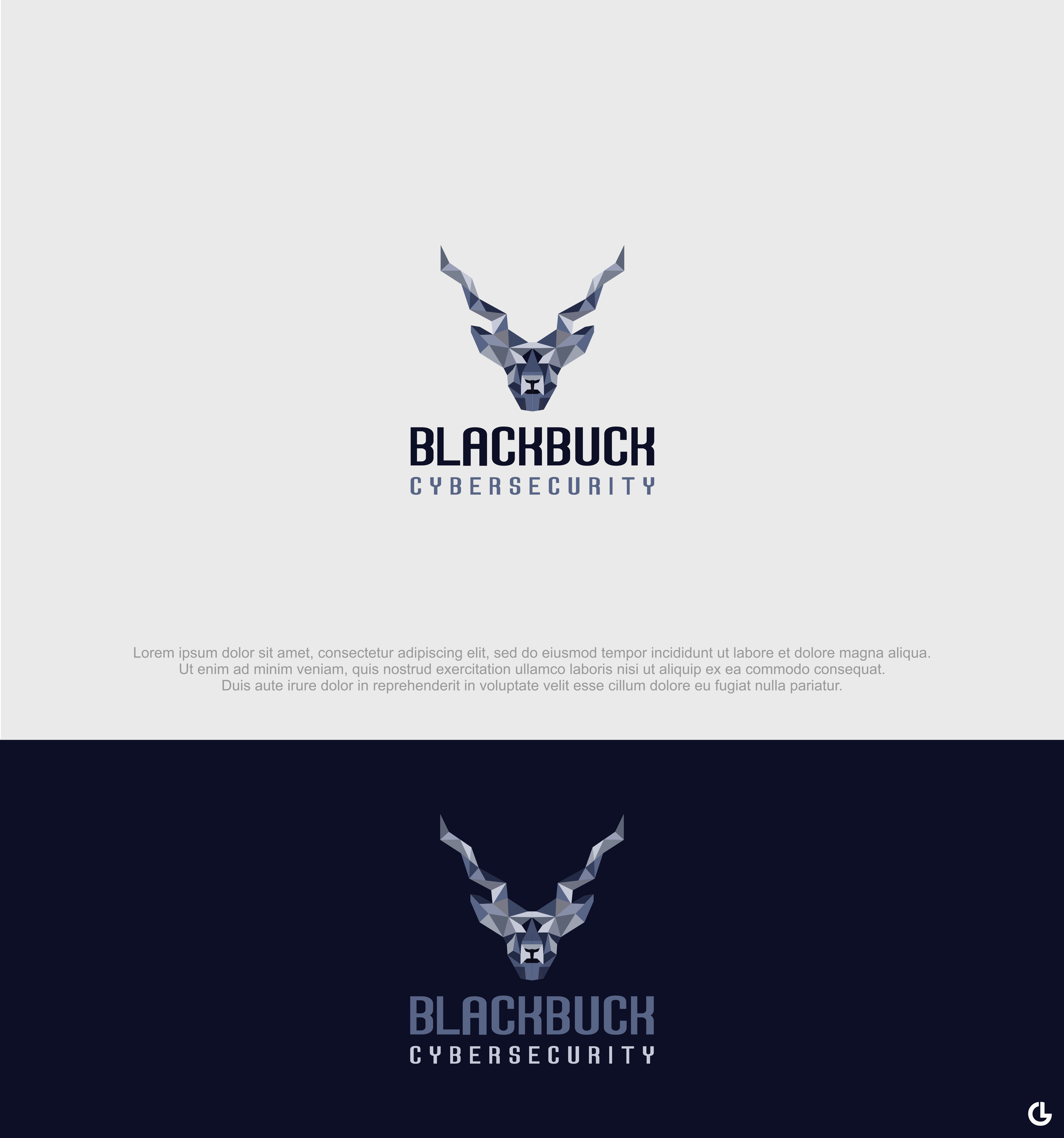 Logo Design by R!CKY for Network Builders IT | Design #25510527