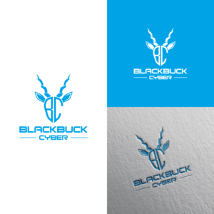Logo Design by MuhammadHussnain for Network Builders IT | Design: #25496420