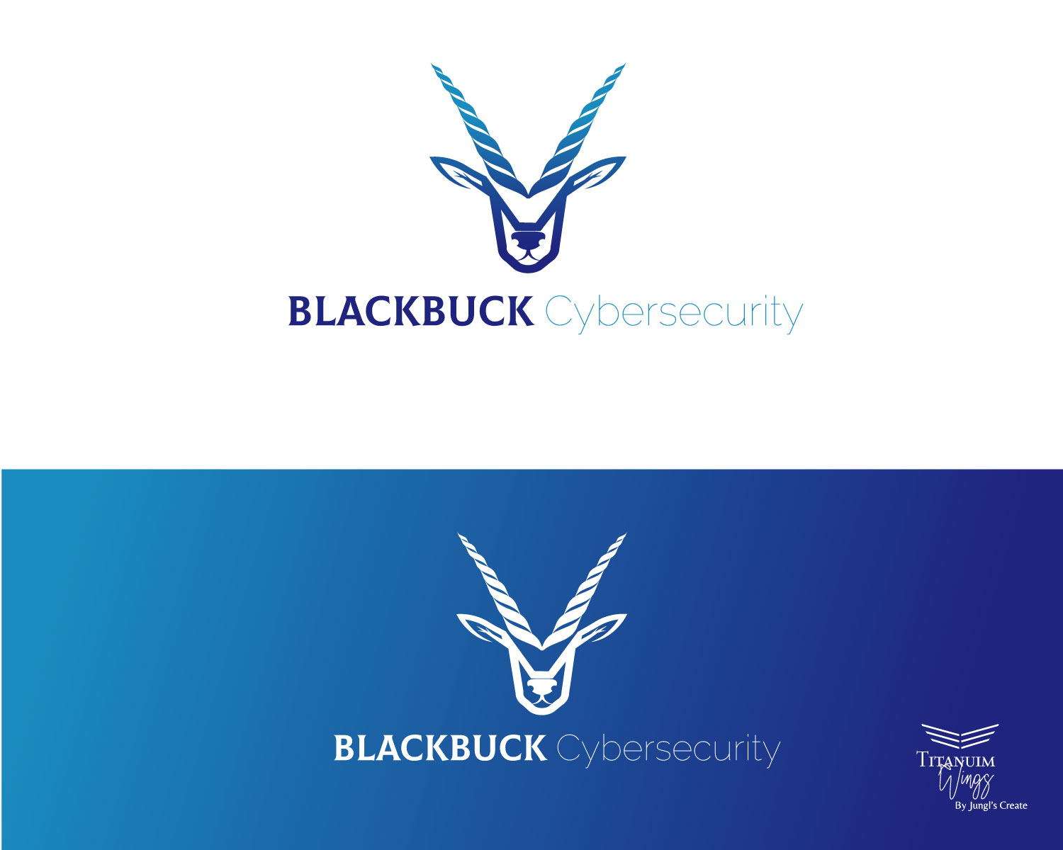 Logo Design by titanium wings for Network Builders IT | Design #25492652