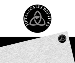 Logo Design by Jay Design