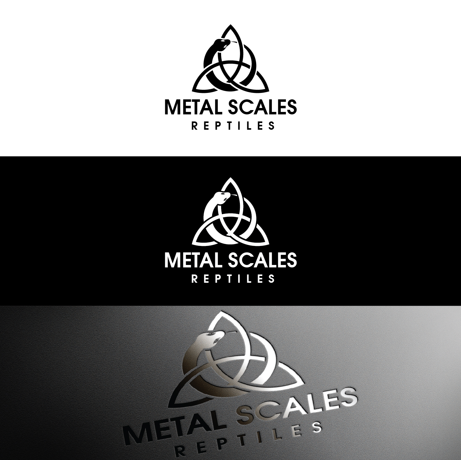 Diseño de Logo por Maxo-Biz para este proyecto | Diseño #25483945