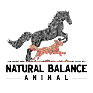 Logo Design by Julianur Rahmani
