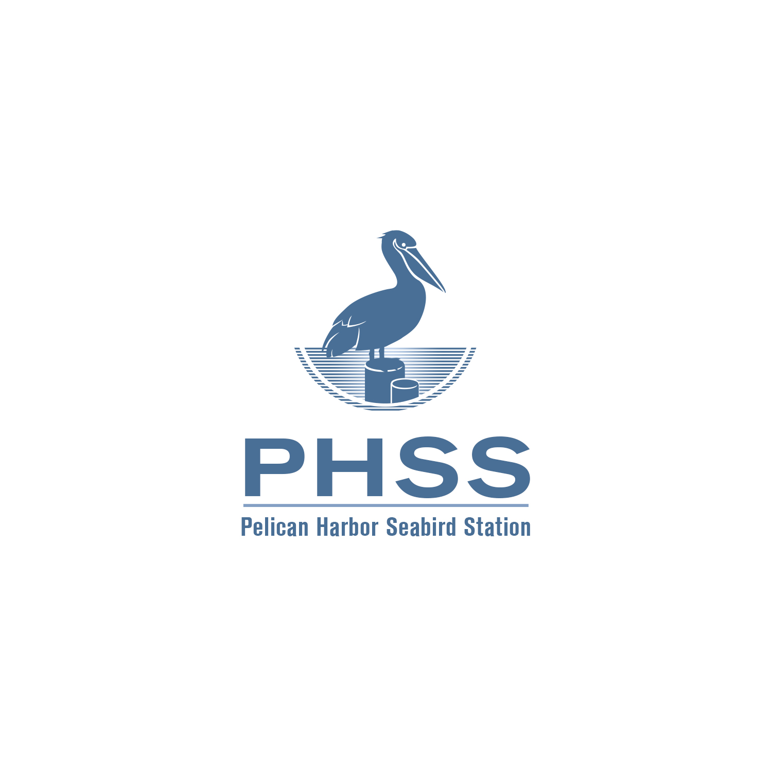 Logo Design by borzoid for this project | Design #25490877