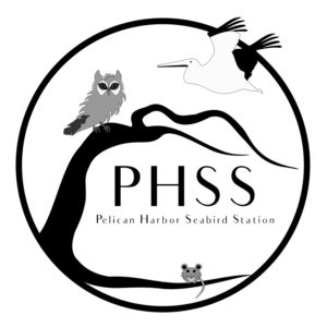 Logo Design by cs_art for this project | Design: #25558480