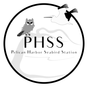 Logo Design by cs_art for this project | Design: #25558482