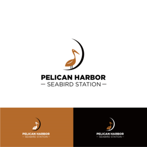 Diseño de Logo por alitjuara para este proyecto | Diseño: #25652983