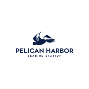 Logo Design by M Naufal for this project | Design #25489991
