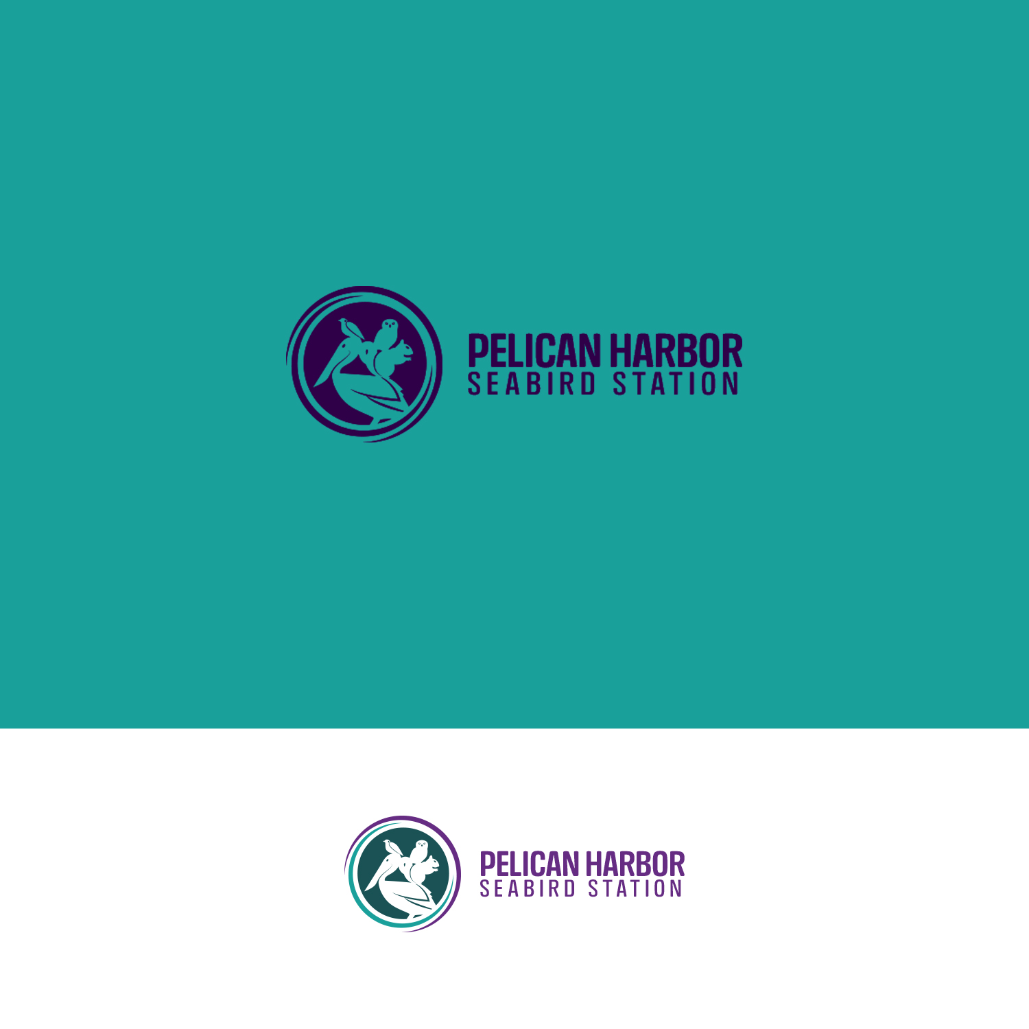 Logo Design by nzdesigners for this project | Design #25505926