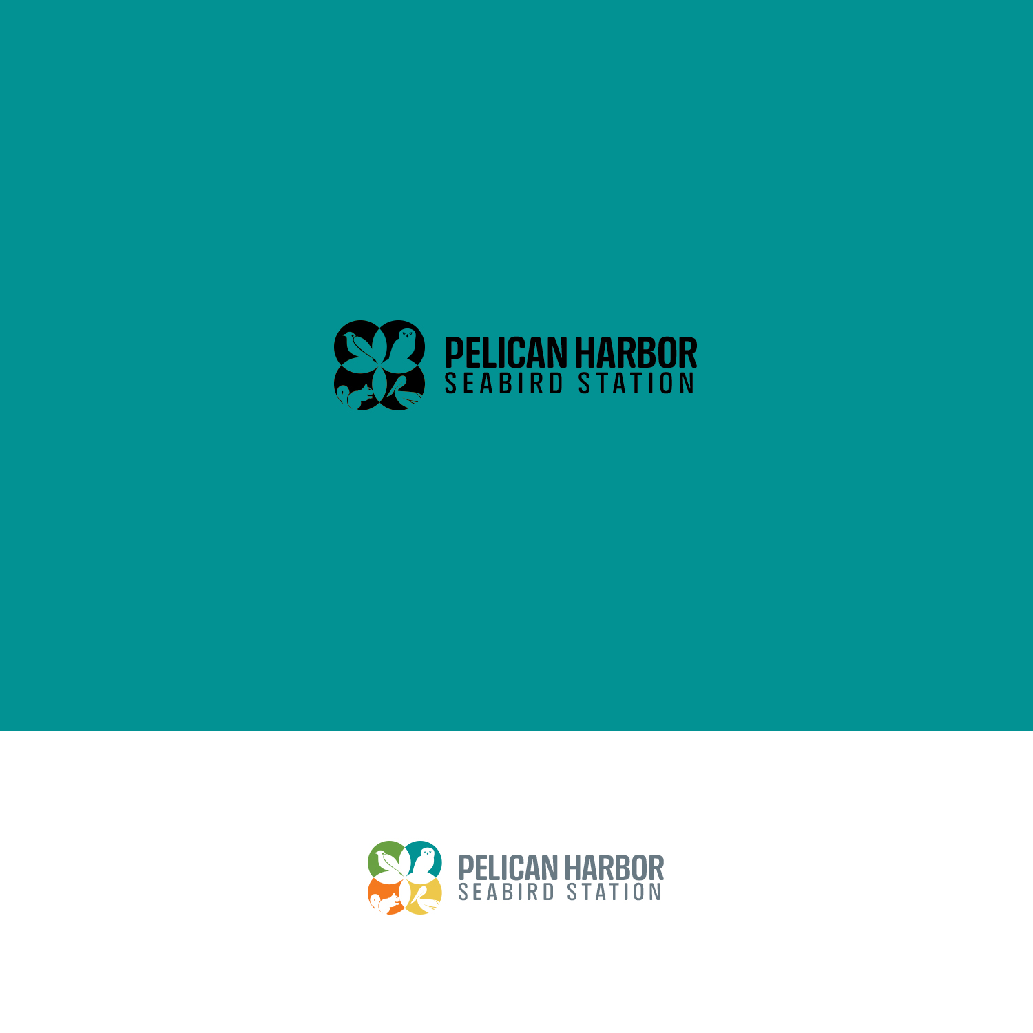 Diseño de Logo por nzdesigners para este proyecto | Diseño #25505927