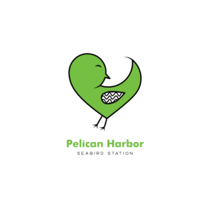 Logo Design by Inaaina for this project | Design #25497514
