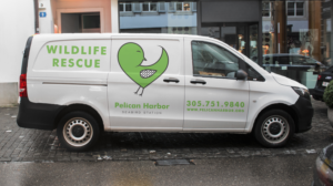 Logo Design by Inaaina for this project | Design: #25497516