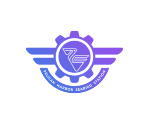 PHSS / Pelican Harbor Seabird Station  | Logo Design by Indrawasih