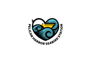 Logo Design by dimaslutwi
