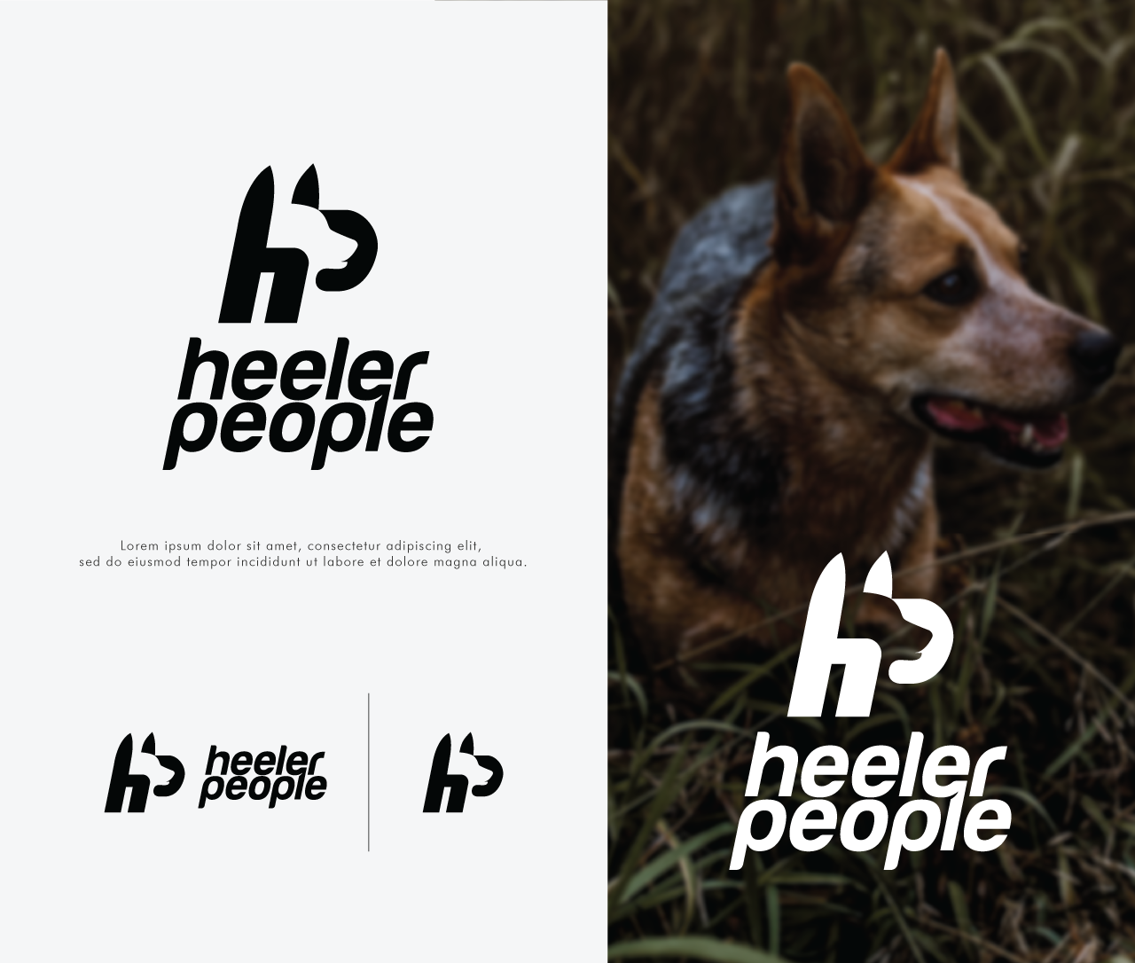 Logo-Design von Ara Studio für dieses Projekt | Design #25499986