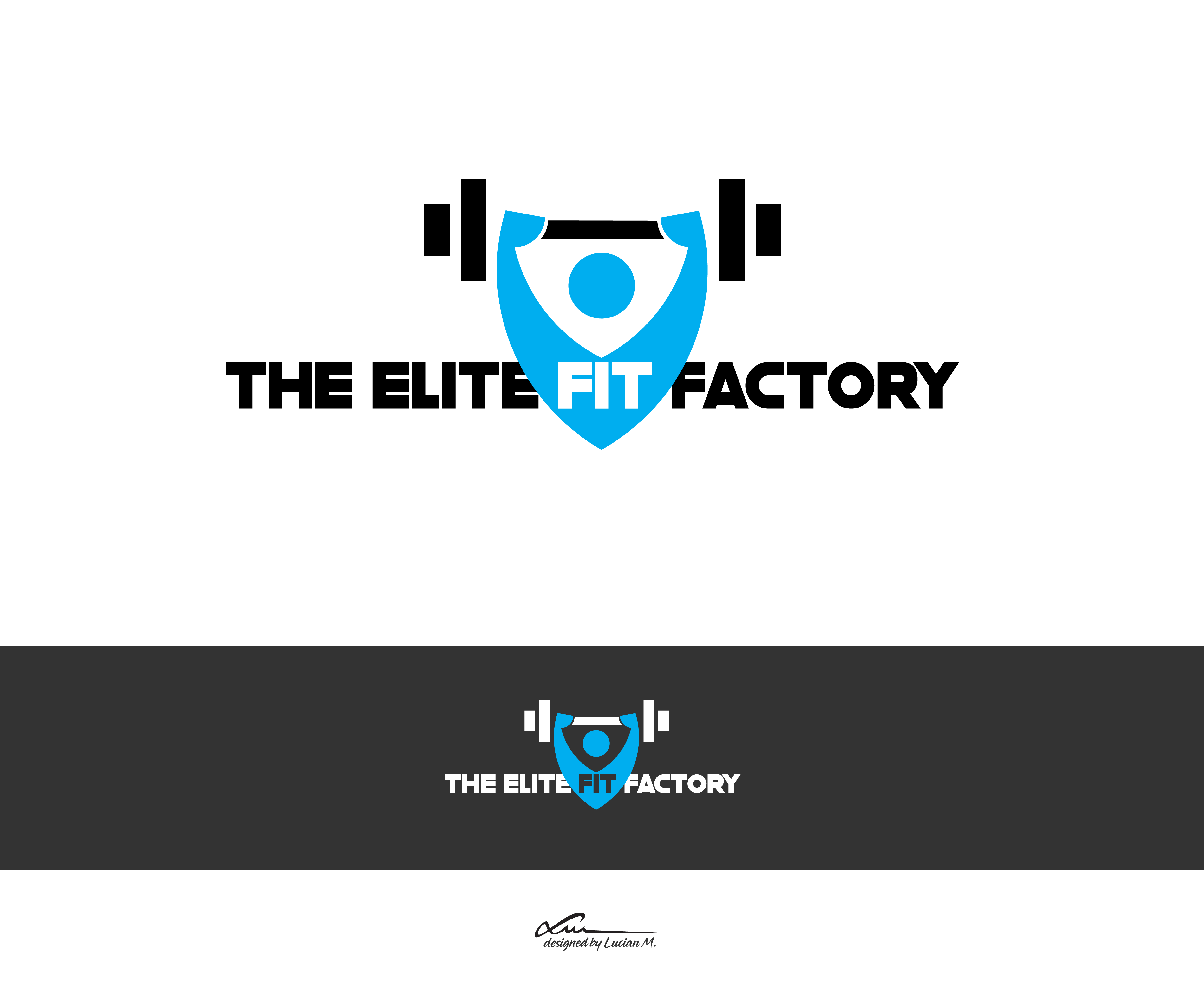 Logo Design by LucianM81 for LDHS Corporation | Design #25511312