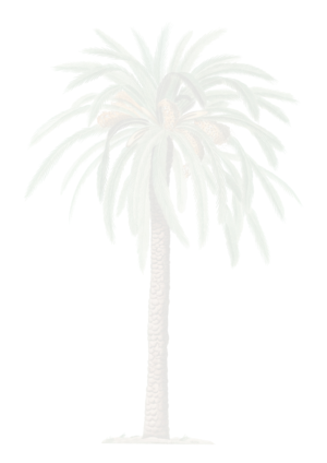 Diseño de Plantilla de Word por DaleenSmit para este proyecto | Diseño: #25554303