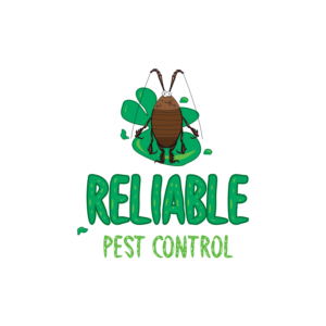 Logo Design by emmanuel 23 for this project | Design #25501090