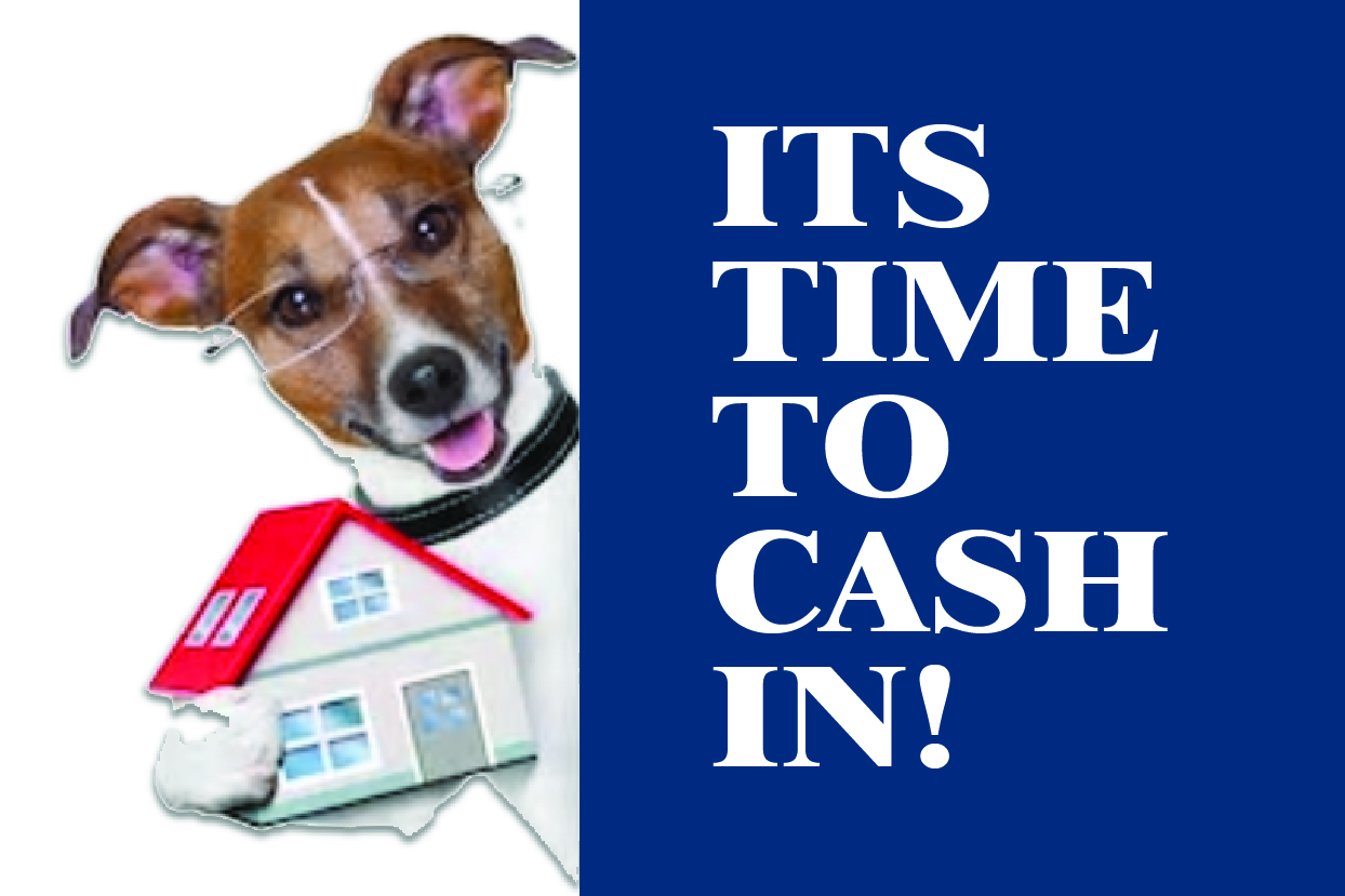 Flyer Design by avi's for Arizona Elite Properties | Design #25539609