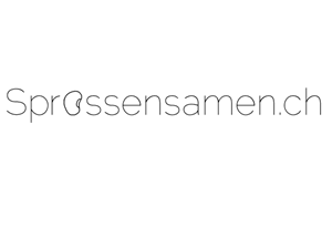 Logo Design by AnzoBean
