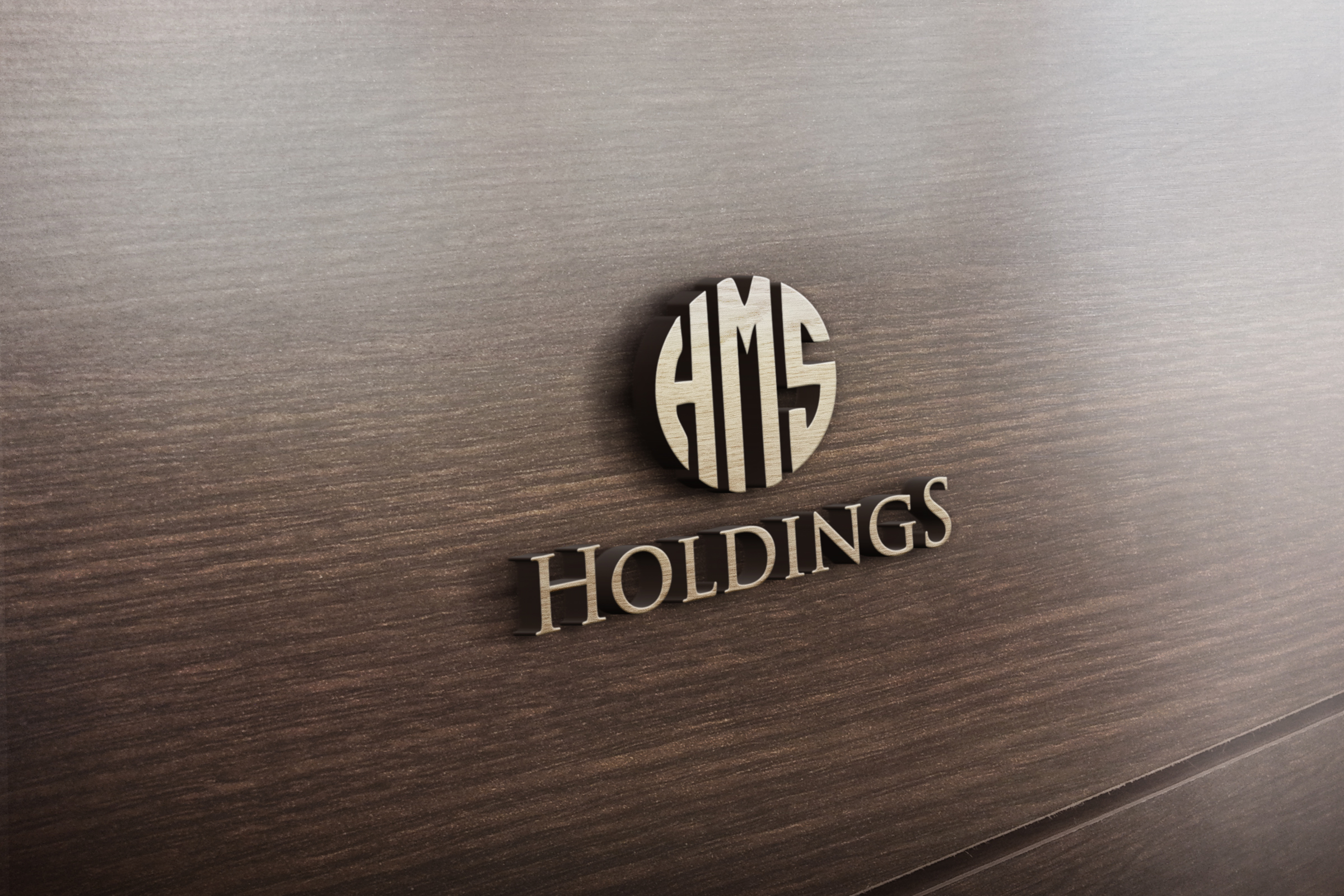 Logo-Design von yoossefMaroc für HMS Holdings | Design #25508697