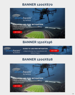 Banner Ad Design by pb for Sentinel Consulting, LLC | Design: #25519525