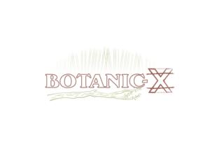 Botanic-X | Logo Design by Juli creation