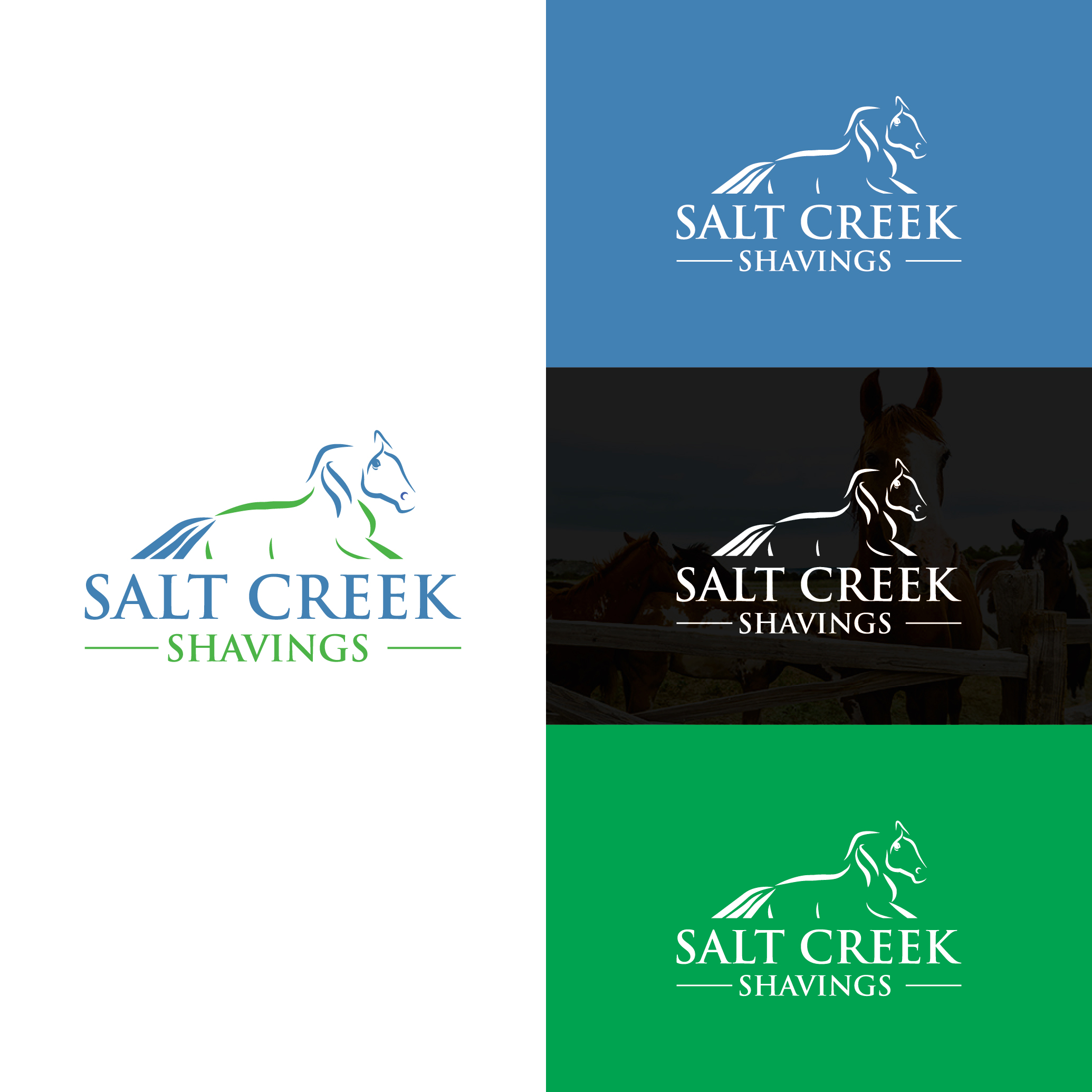 Logo Design by MuhammadHussnain for this project | Design #25534150