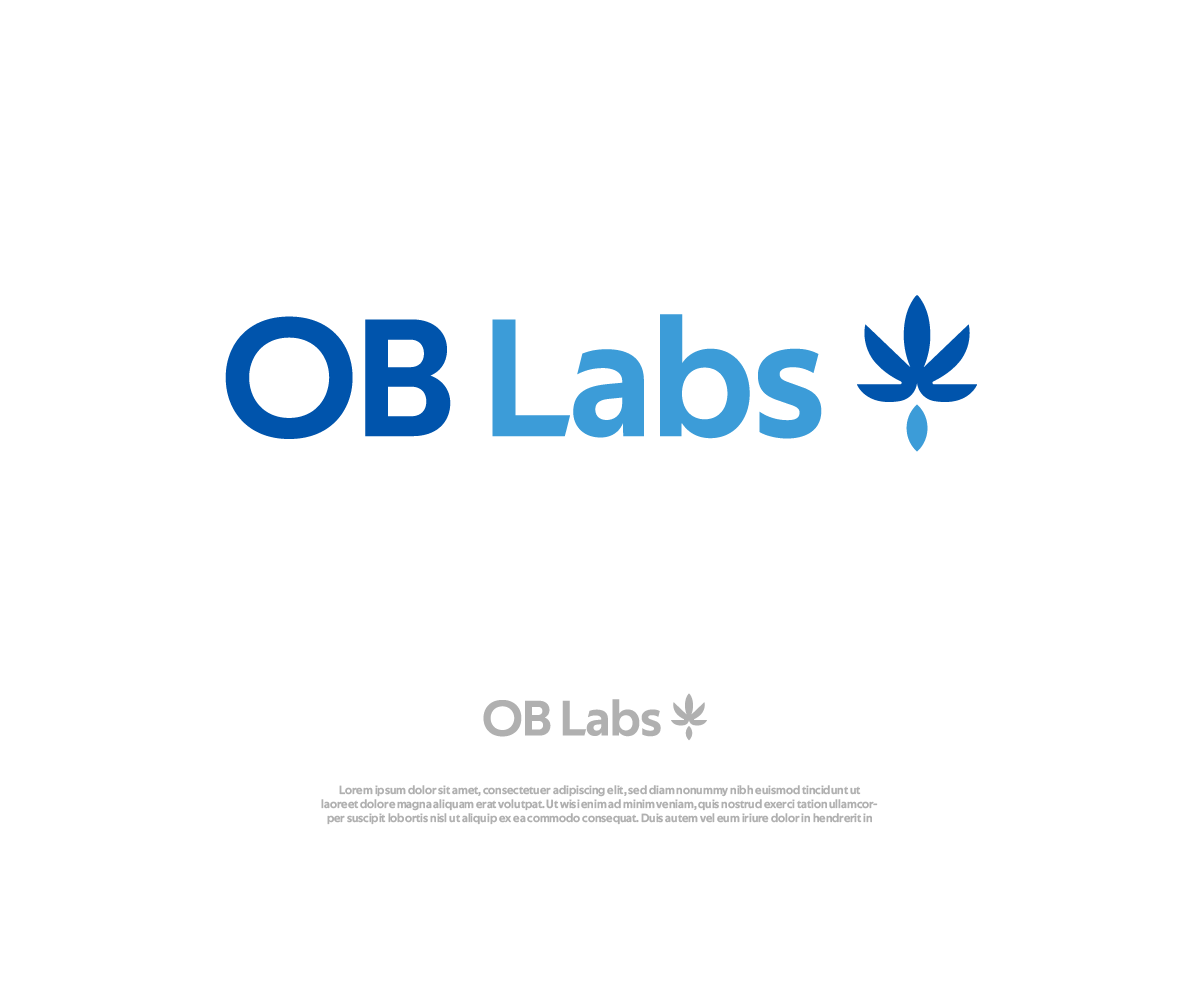 Logo Design by Ng V Duc for OB Labs | Design #25575488