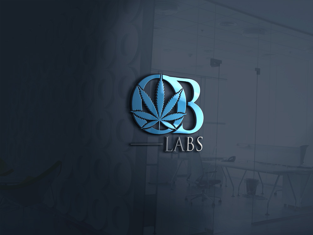 Logo Design by Hridoy Mizi 2 for OB Labs | Design #25536970