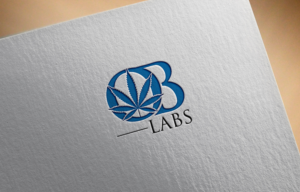 Logo Design by Hridoy Mizi 2 for OB Labs | Design: #25536972