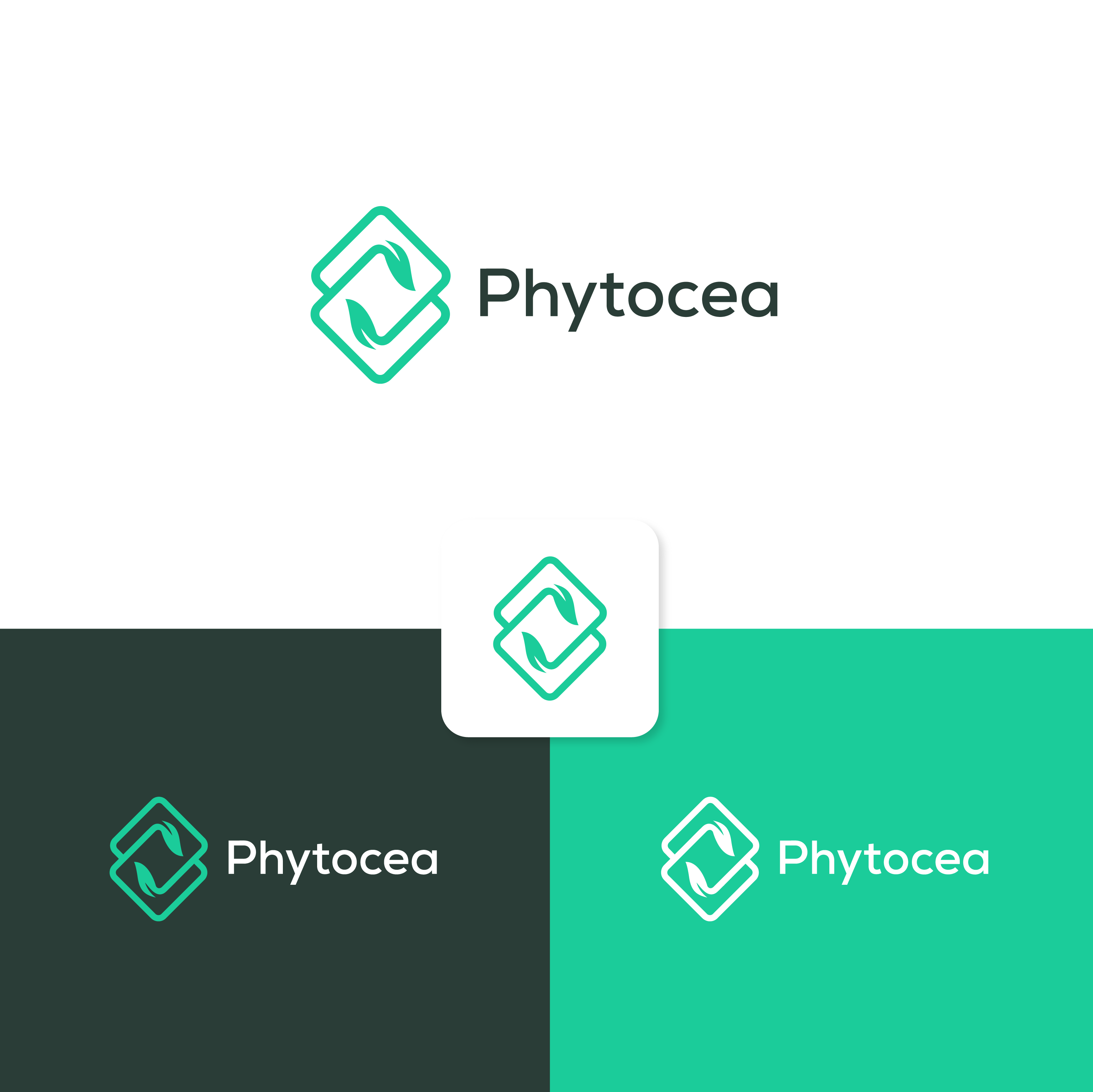 Logo Design by Ahmed @li for this project | Design #25547789