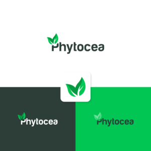 Design de Logo par Ahmed @li pour ce projet | Design #25555667