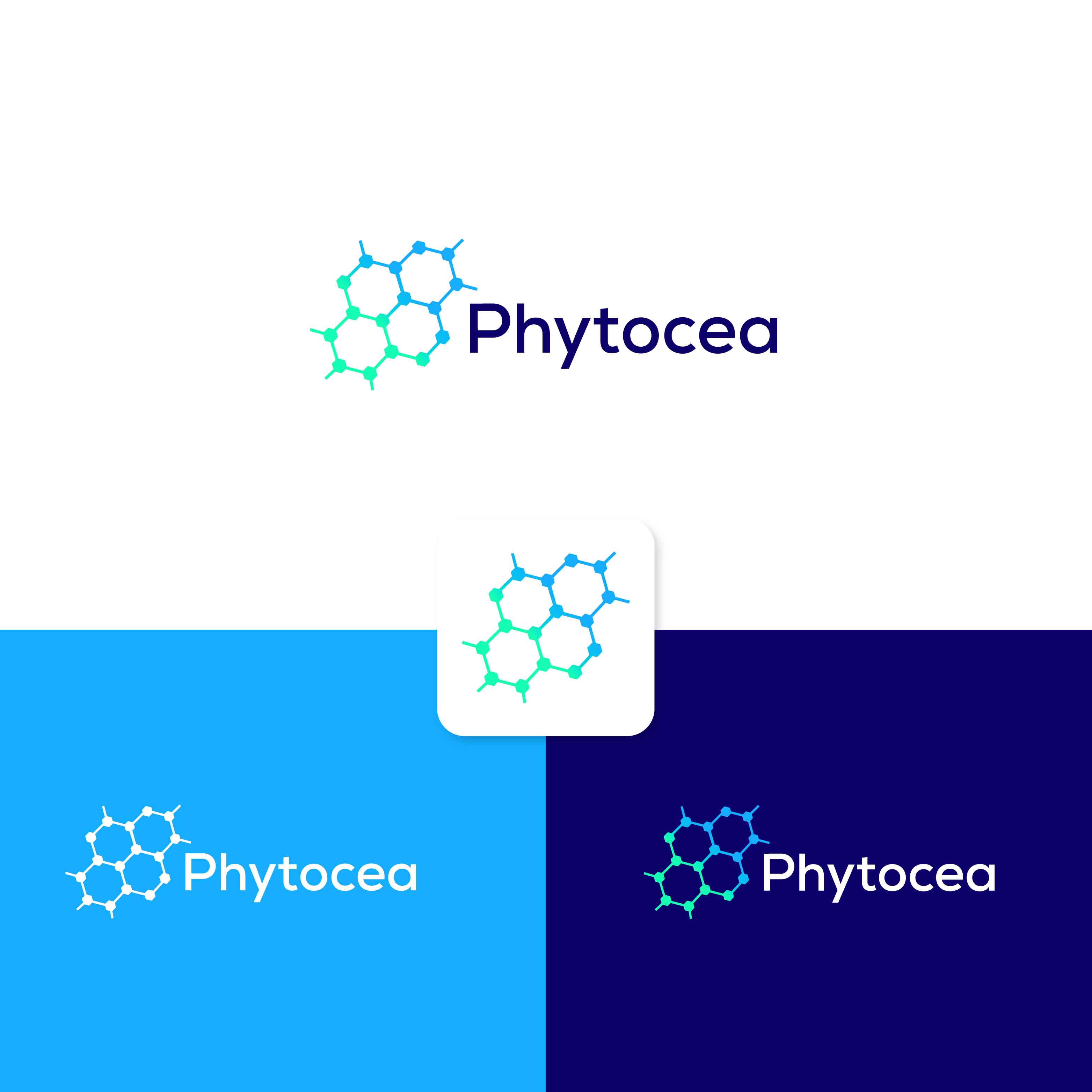 Logo Design by Ahmed @li for this project | Design #25555668