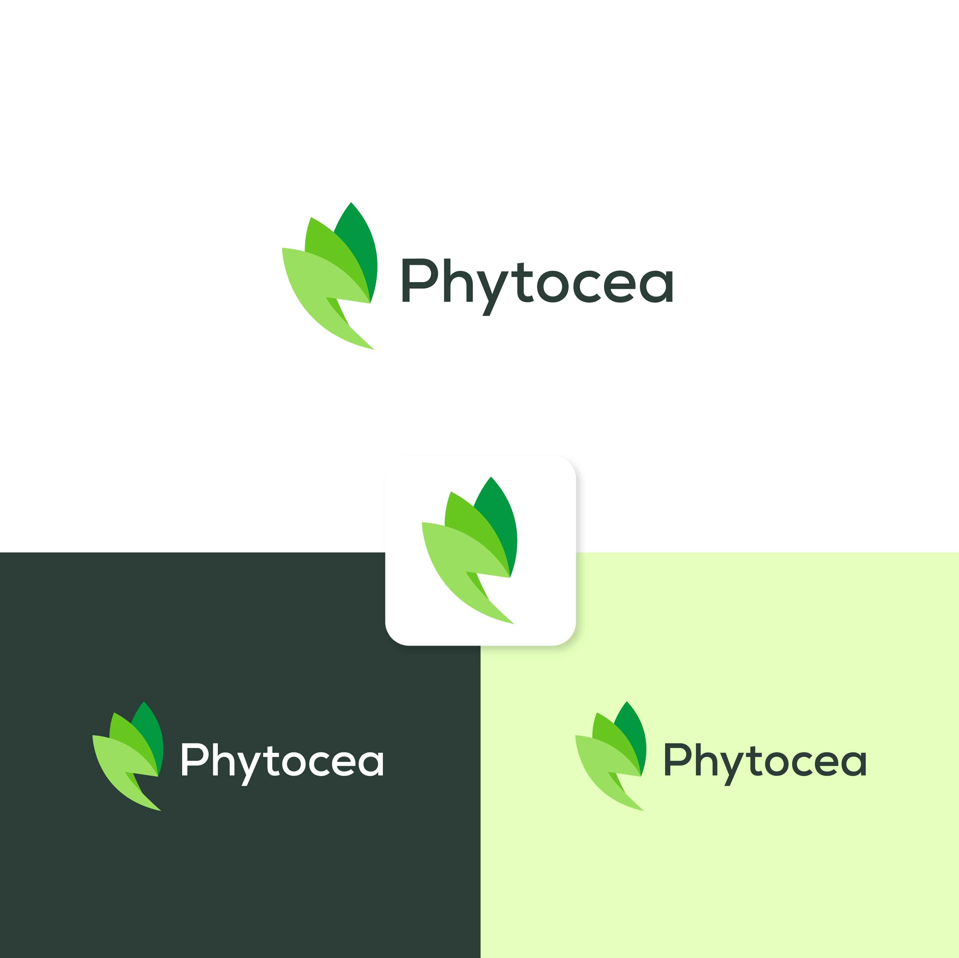 Logo Design by Ahmed @li for this project | Design #25555669