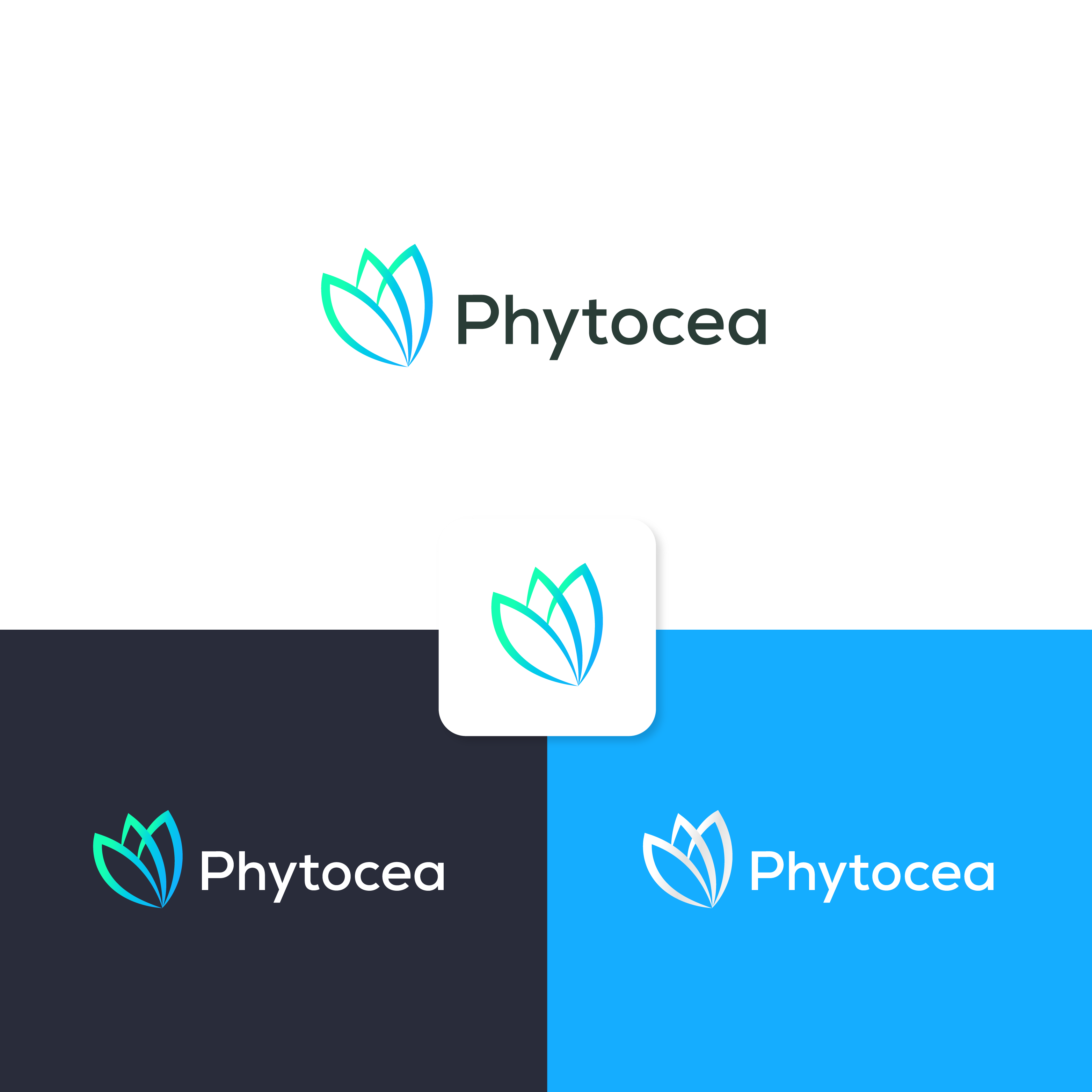 Logo Design by Ahmed @li for this project | Design #25570136