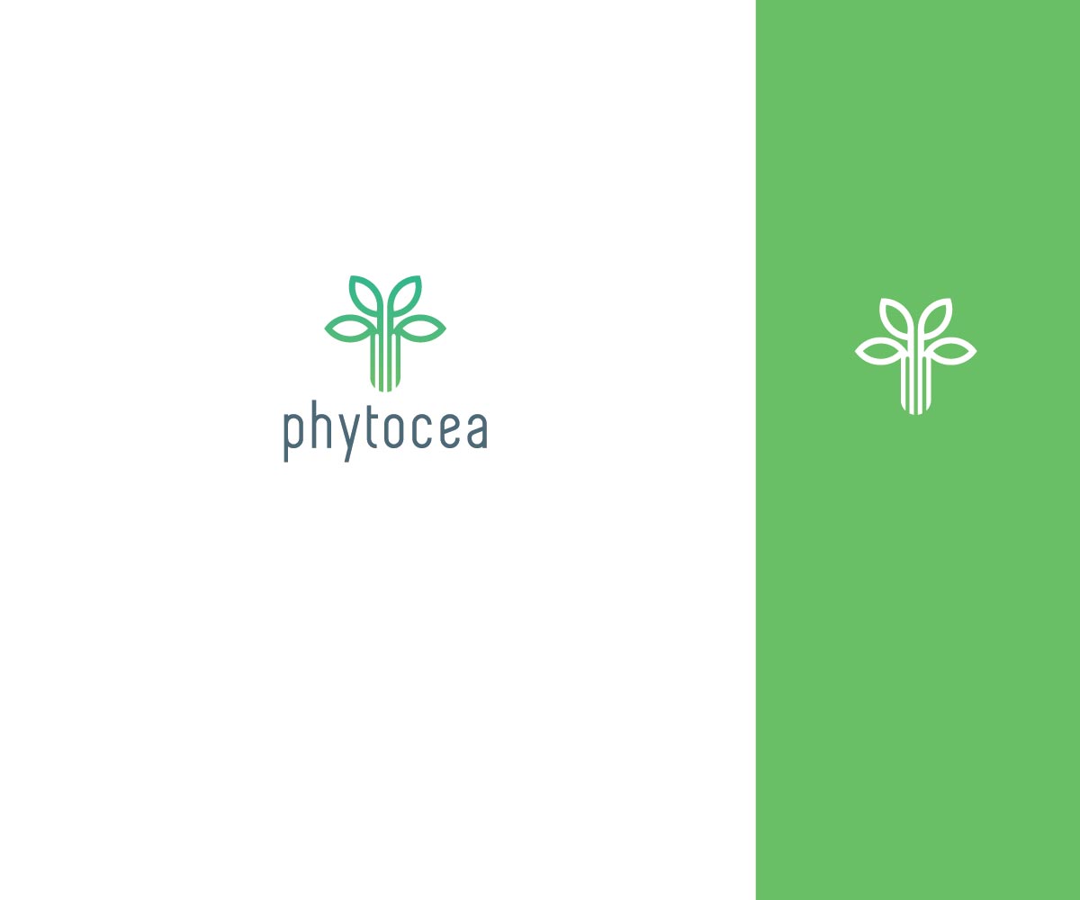 Logo Design by GreenLamp for this project | Design #25724099